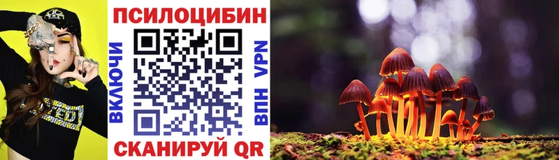сайты даркнета телеграм  где купить наркоту  Северская  Псилоцибиновые грибы прущие грибы 