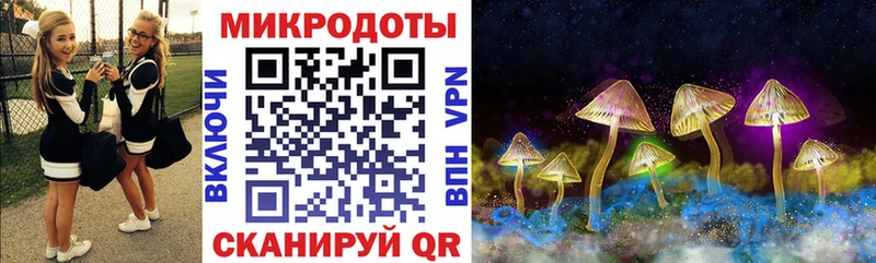 Псилоцибиновые грибы MAGIC MUSHROOMS Северская